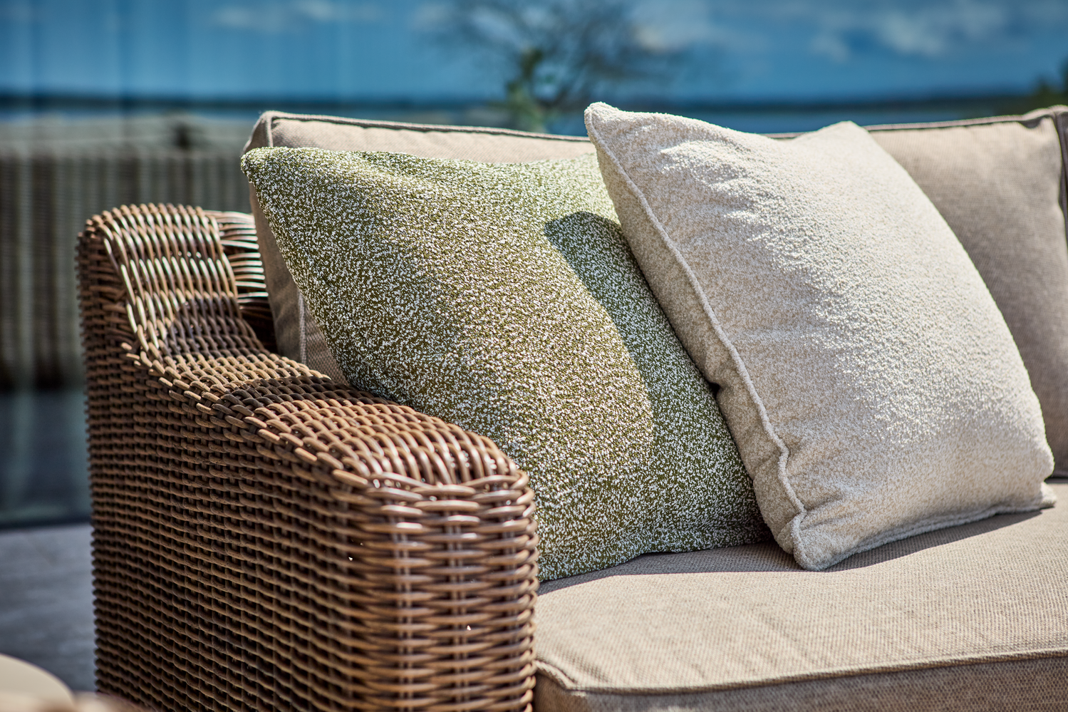 Teddy coussin Teddy Rice