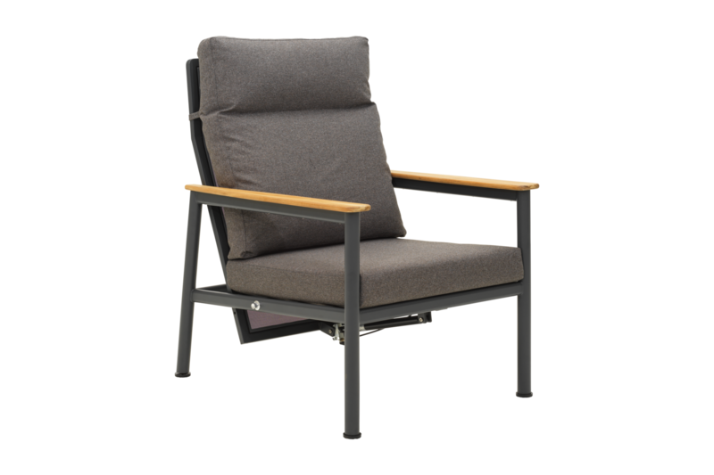 Gordon fauteuil Anthracite/Soft Dawn