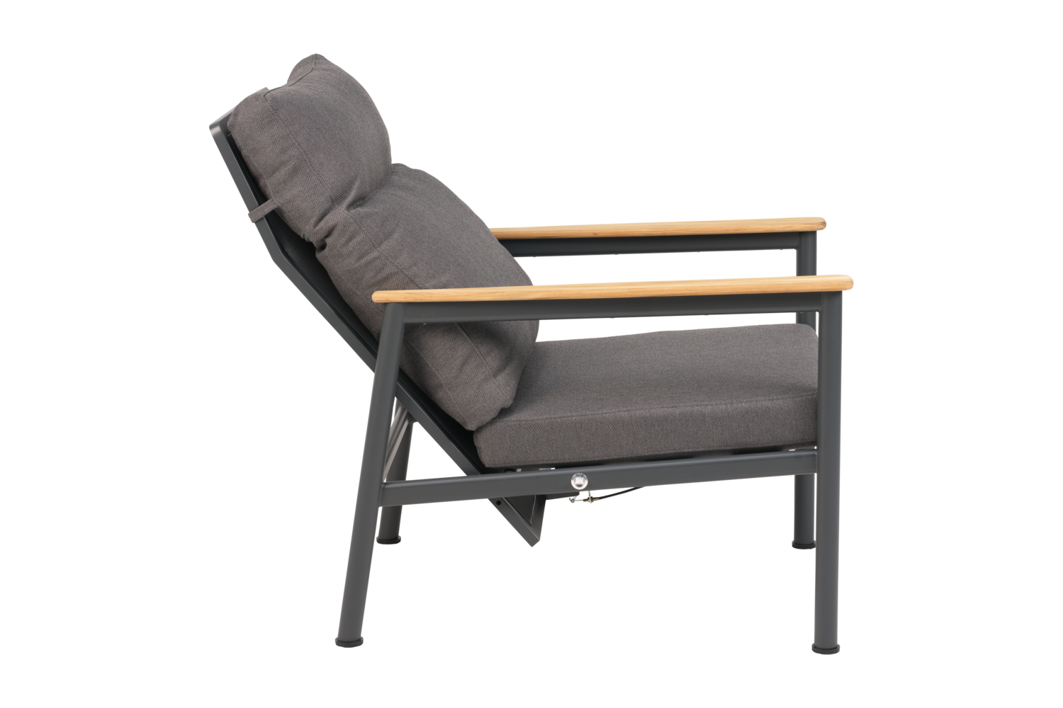 Gordon fauteuil Anthracite/Soft Dawn