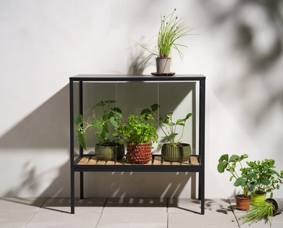 Grower Greens Armoire à plantes Noir