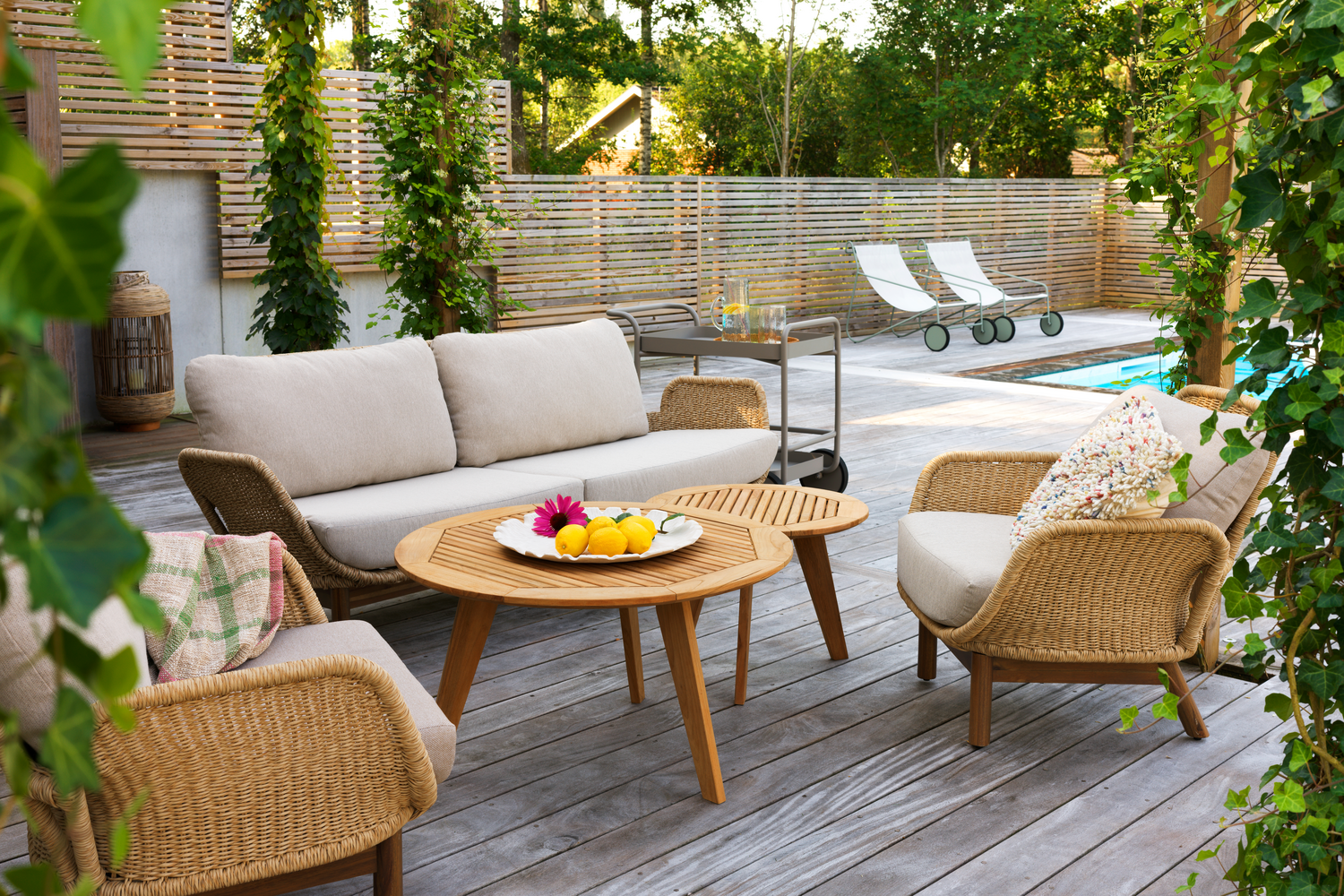 1500x1000 Lily Kastos.png