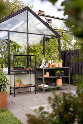 Grower Greens Armoire à plantes Noir