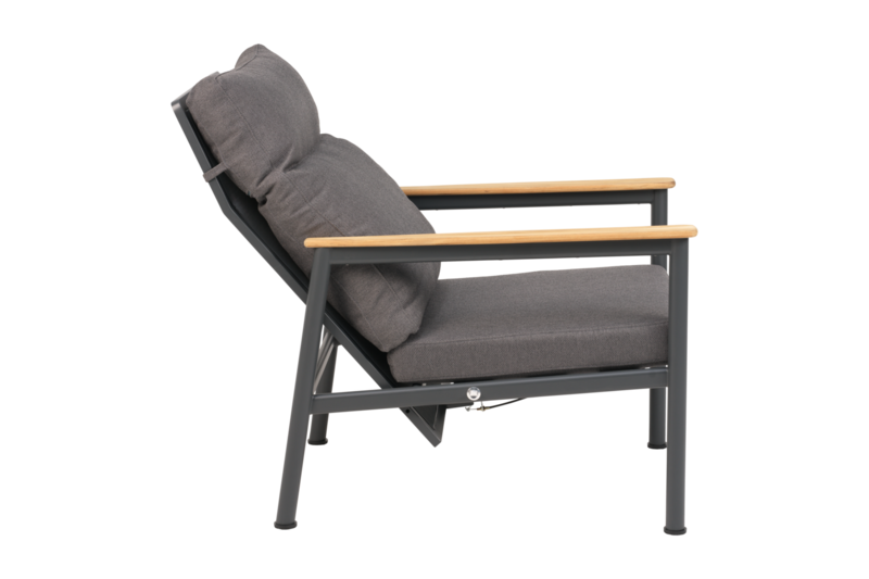 Gordon fauteuil Anthracite/Soft Dawn