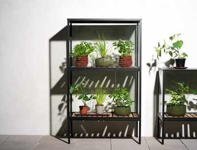 Grower Greens Armoire à plantes Noir