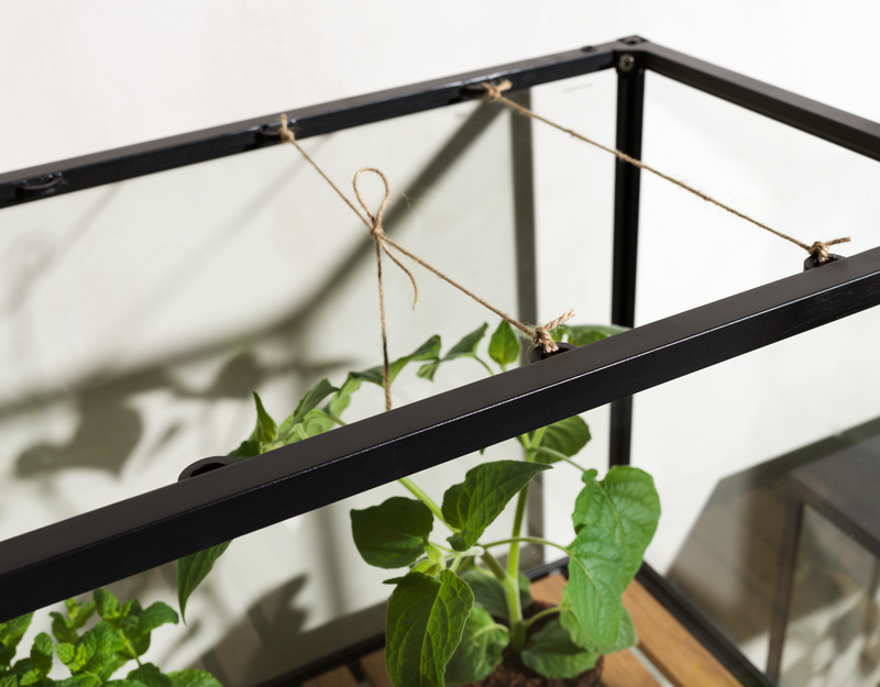 Grower Greens Armoire à plantes Noir