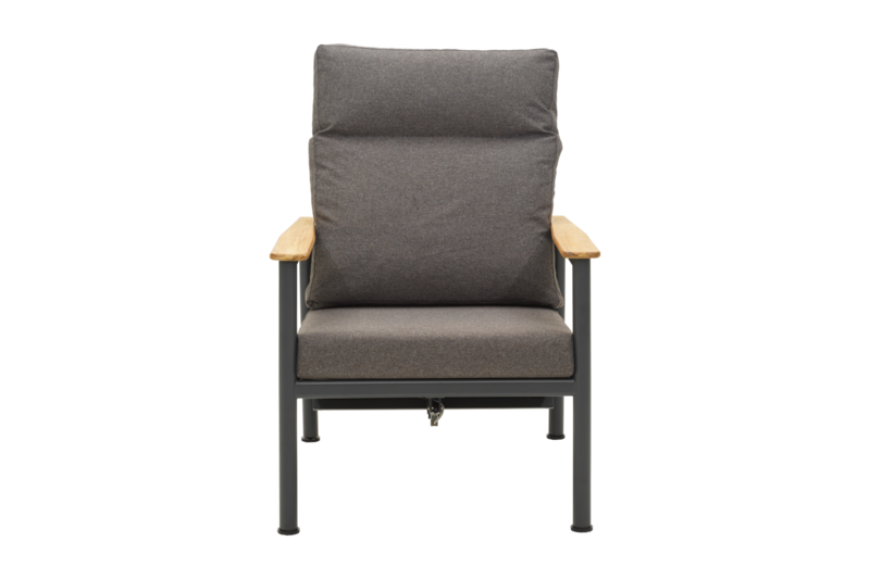 Gordon fauteuil Anthracite/Soft Dawn