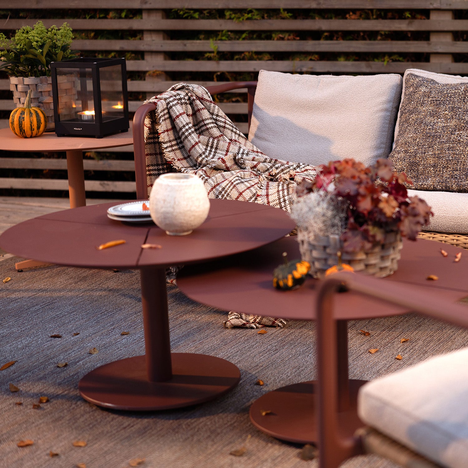 Motty Zin Red autumn_1 1500x1500.jpg